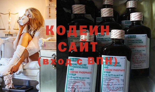 тгк Нея