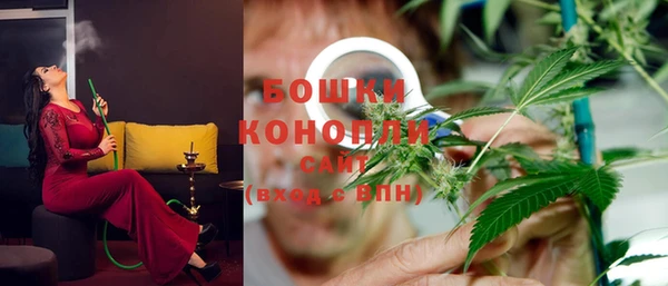 тгк Нея