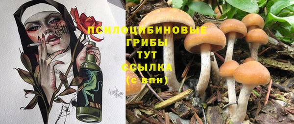 марки nbome Нефтекумск