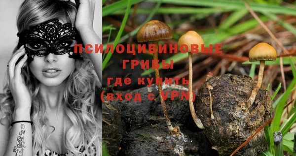 тгк Нея
