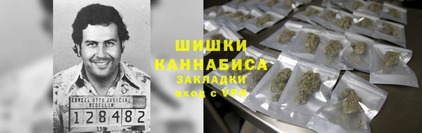 тгк Нея